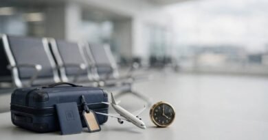 Dubai airport passenger traffic decline and aviation disruption
