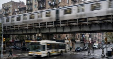 Train and bus options compared for a daily urban commute