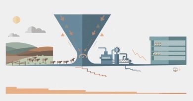 Editorial illustration of U.S. cattle scarcity affecting beef processing and retail supply